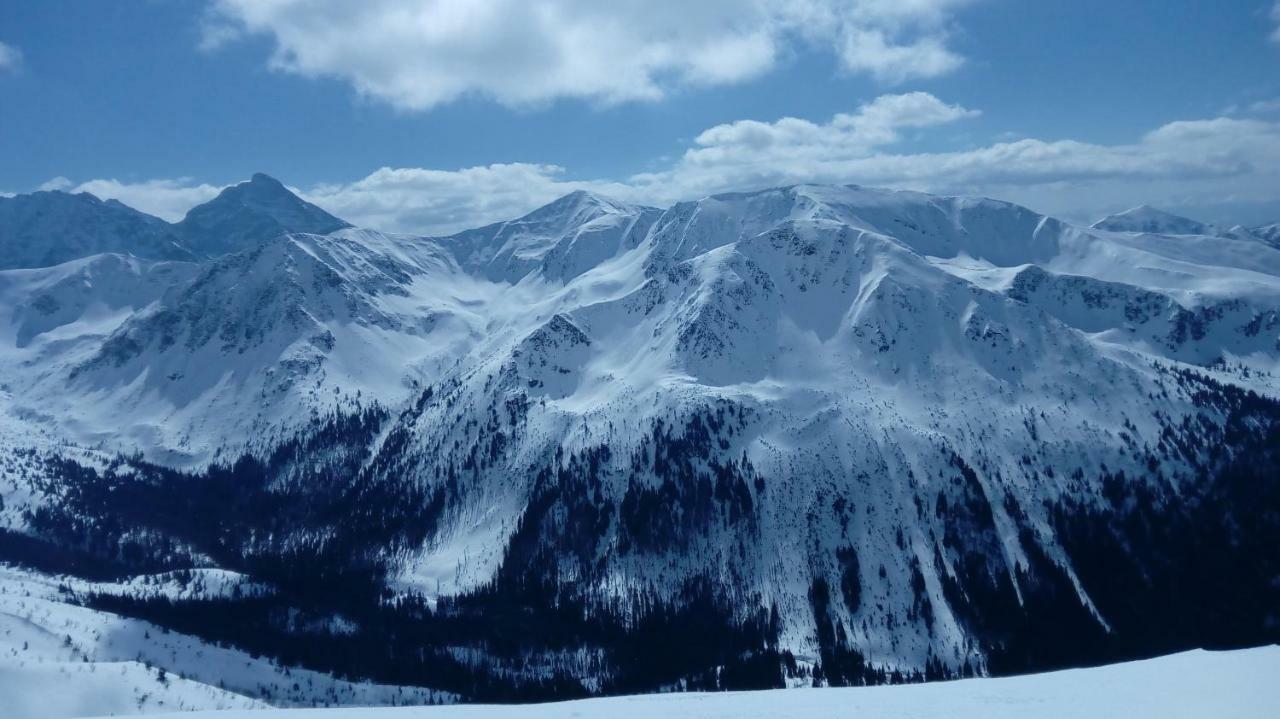 Skalnica Pokoje Goscinne - Sniadania Mozliwe Do Zakupu W Sasiednim Obiekcie Bukowina Tatrzańska Extérieur photo